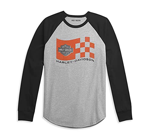 Harley-Davidson Men's Race Logo Baseball Tee - 96318-21VM (2X-Large) Gray