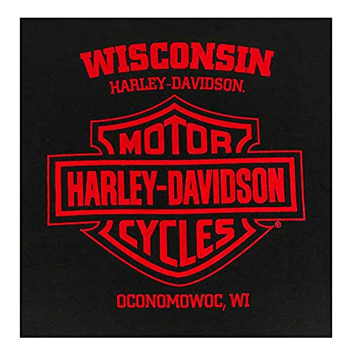 Harley-Davidson Men's Artful H-D Short Sleeve Crew-Neck Cotton T-Shirt (L)