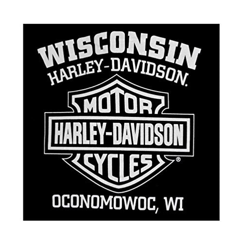 Harley-Davidson Men's T-Shirt Eagle Graphic Short Sleeve Black Tee 30296656 (L)