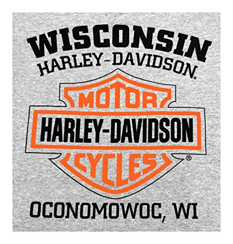 Harley-Davidson Men's T-Shirt, Long Sleeve Tee, Heritage H-D Gray 30296638 (S)