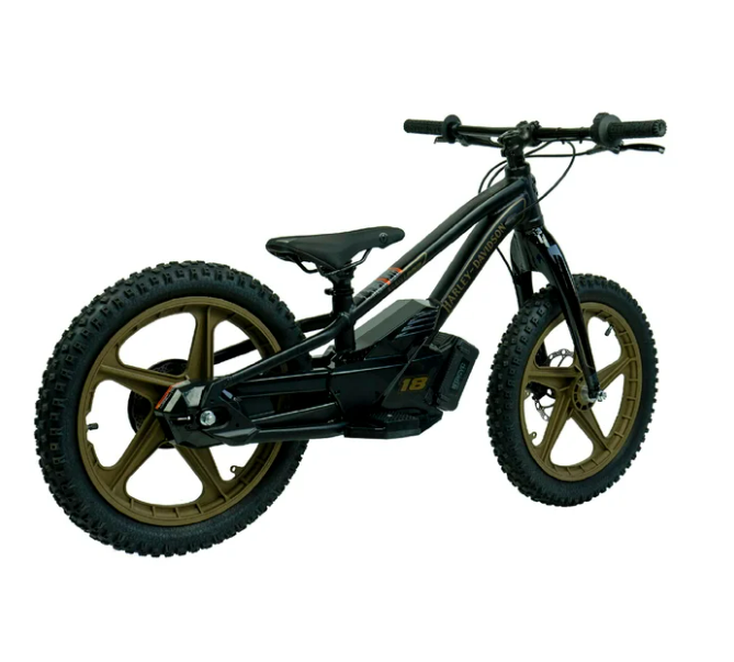 eBike 20e Low Rider Edition